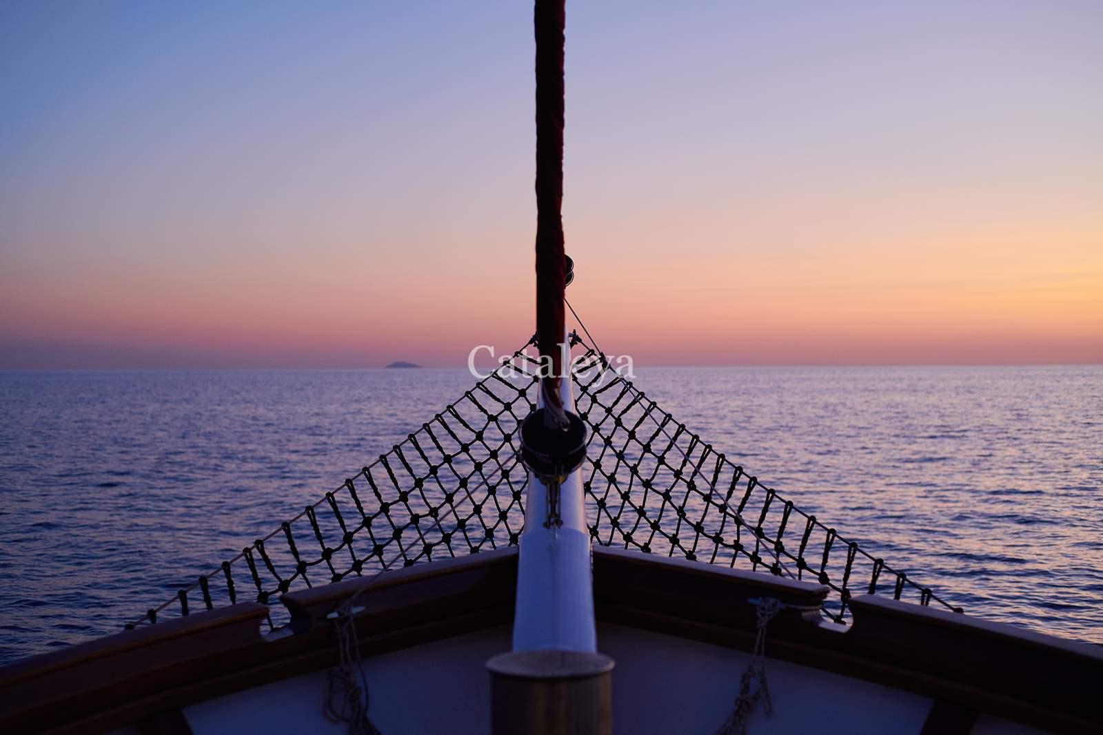 Cataleya, picture 17