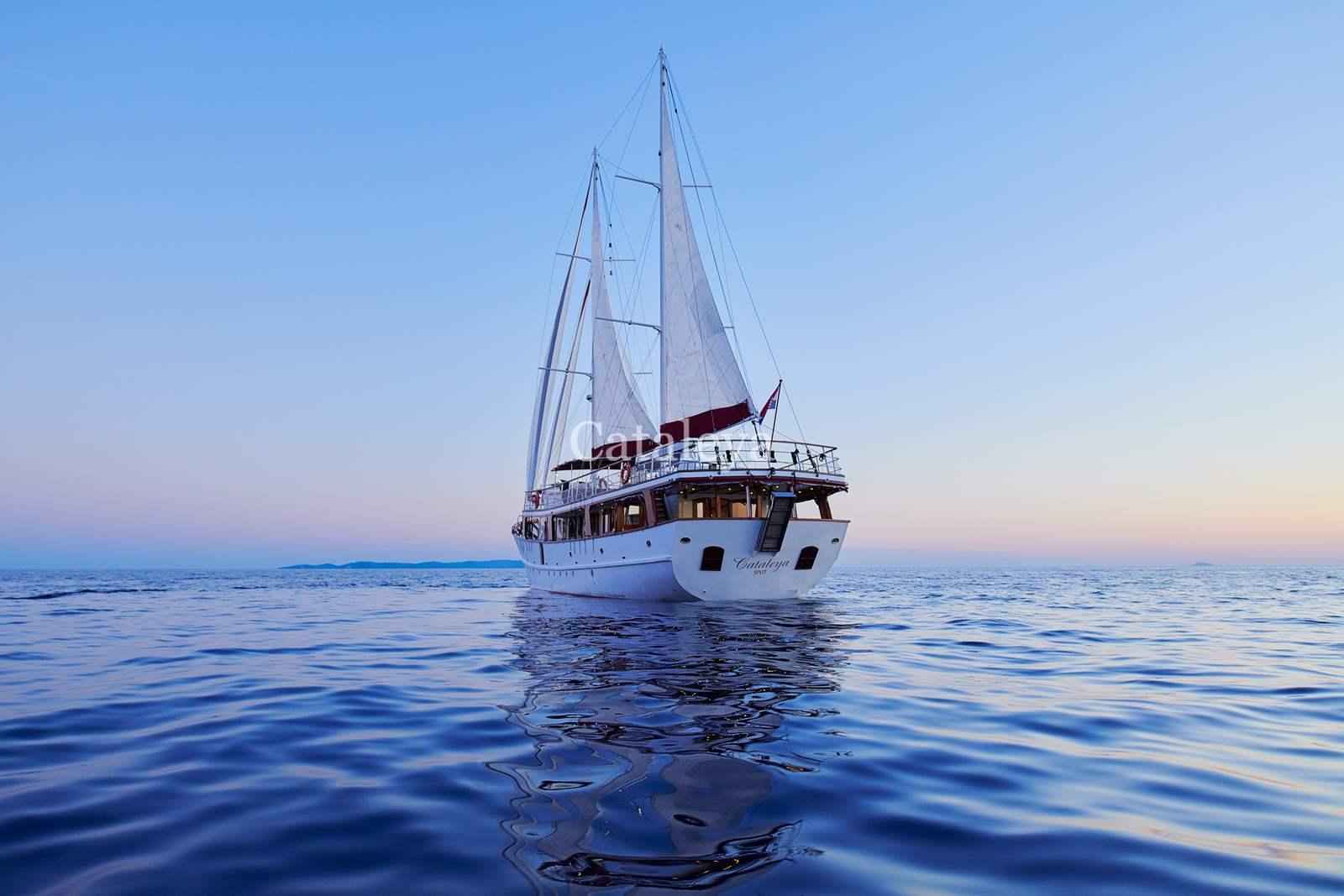 Cataleya, picture 15