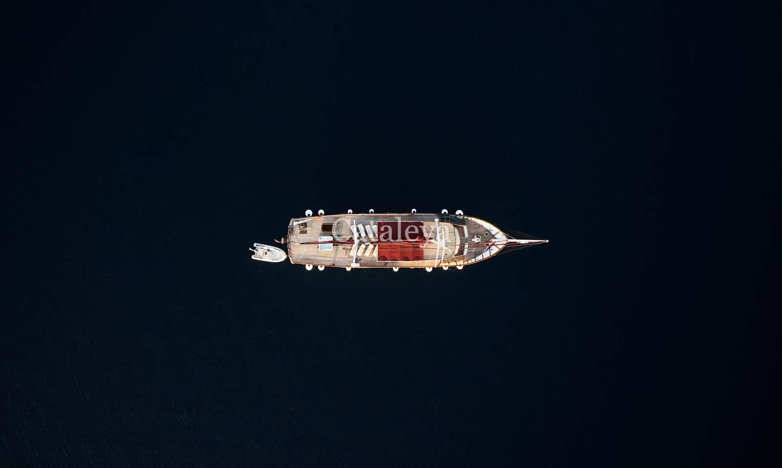 Cataleya, picture 20