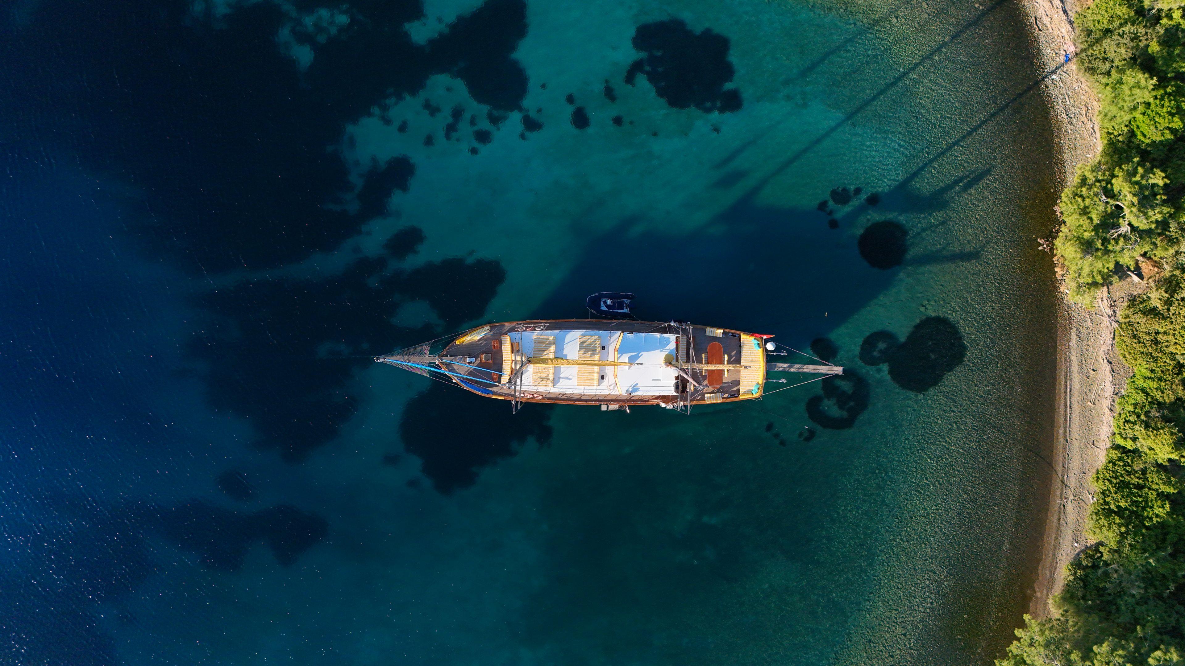 Fortuna*, picture 14