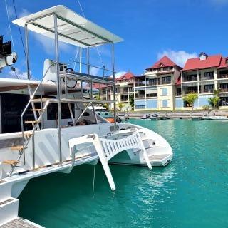 Sea-Tribe DH550, picture 8