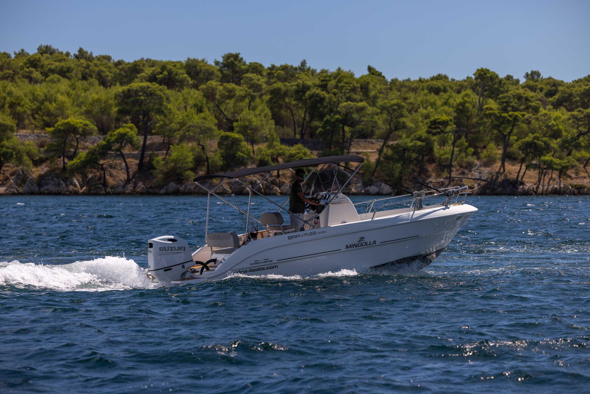 Brava 22 Open, picture 4