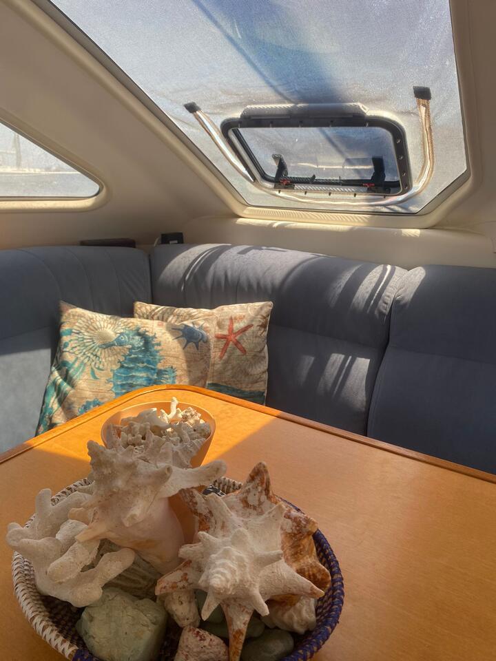 Catana 431, picture 12