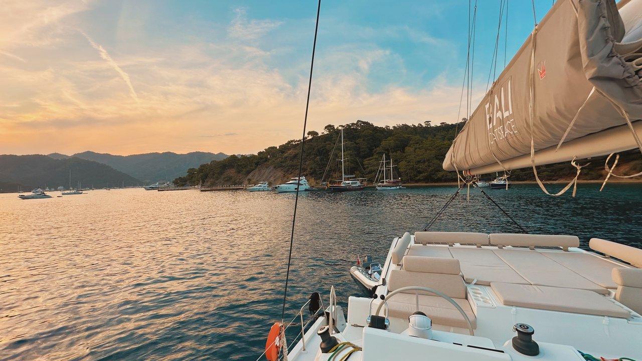 Bali Catspace, picture 5