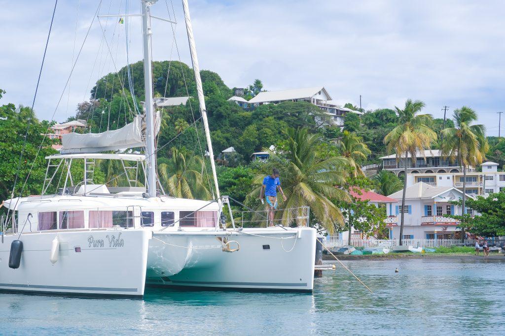 Lagoon 450 - 4 cab. - Pura Vida, picture 1