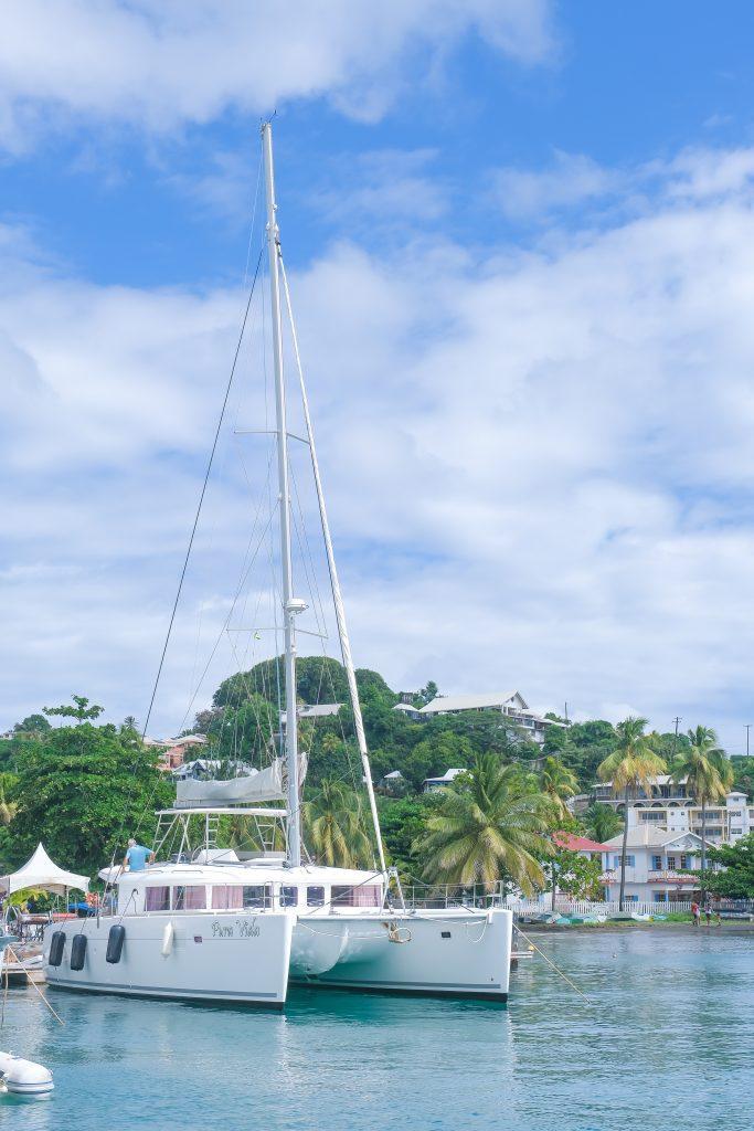 Lagoon 450 - 4 cab. - Pura Vida, picture 13