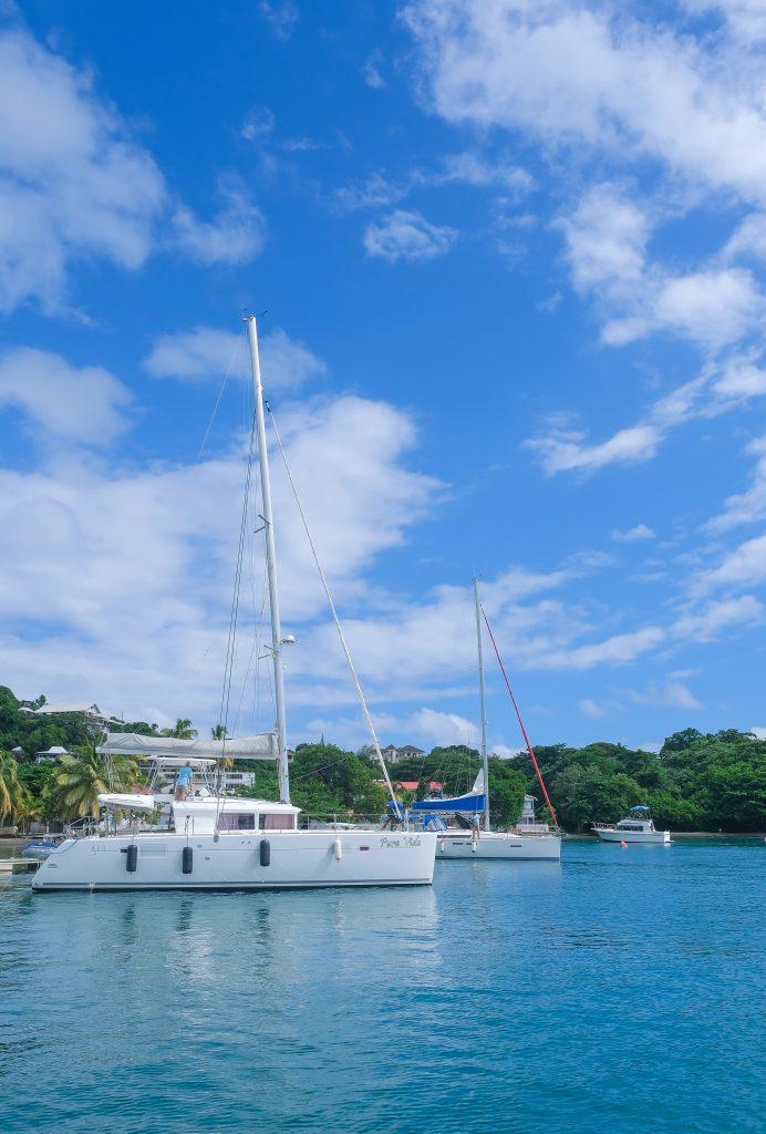 Lagoon 450 - 4 cab. - Pura Vida, picture 3