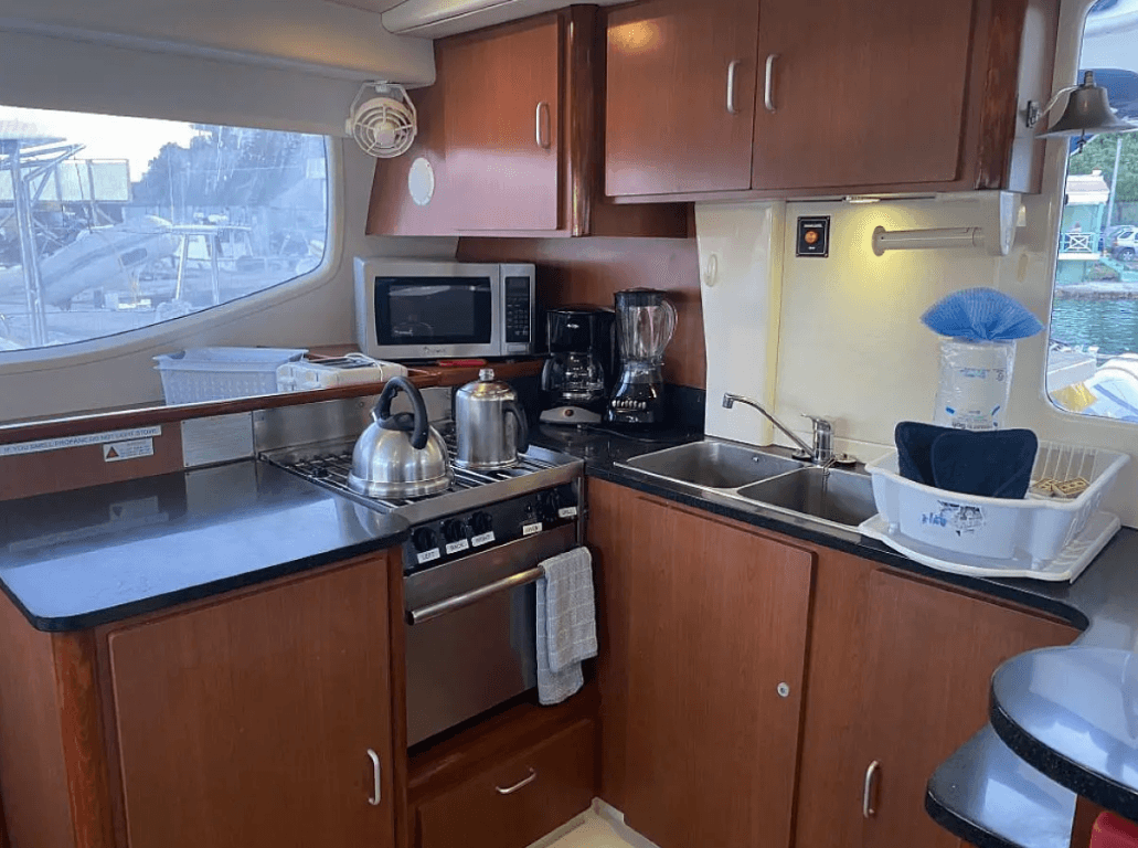 Leopard 46 - 4 cab., picture 11