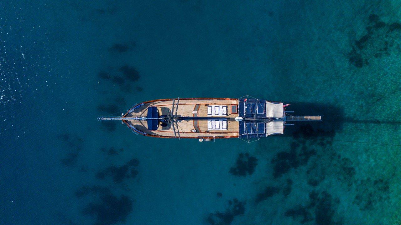 Capricorn 1, picture 5