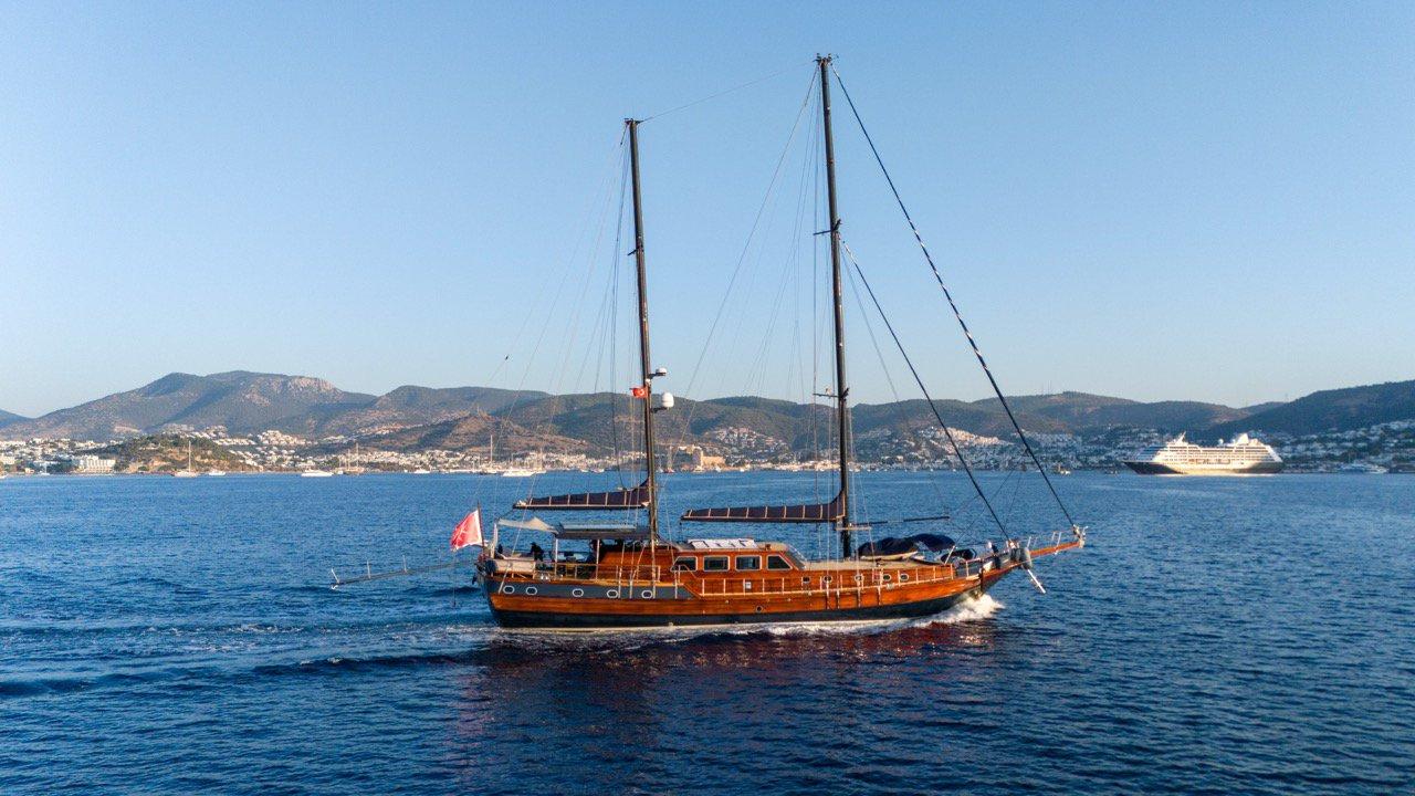 Capricorn 1, picture 2