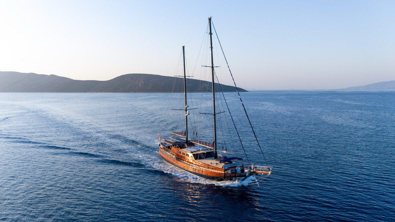 Capricorn 1, picture 1