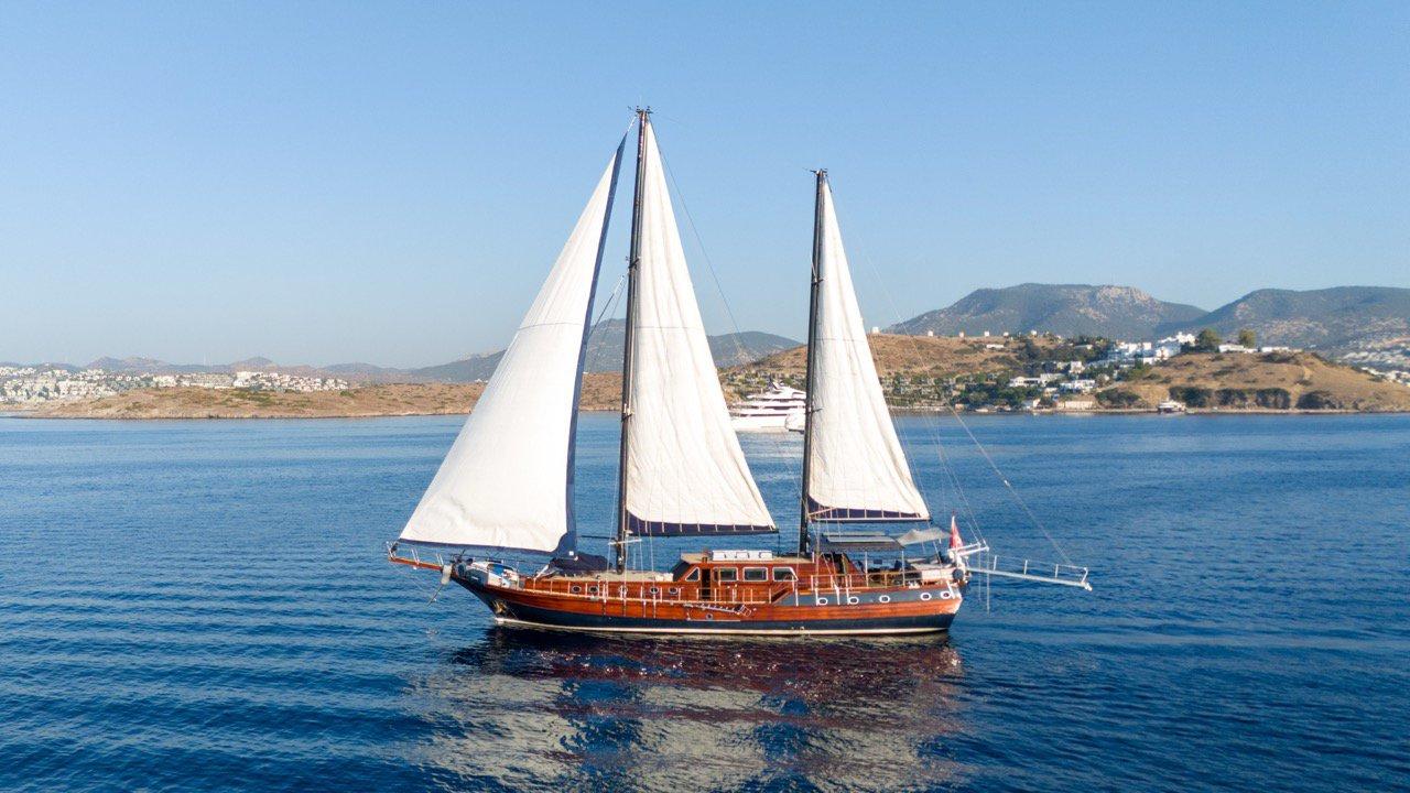 Capricorn 1, picture 3