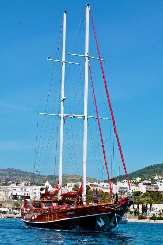 Il Fratello, picture 4