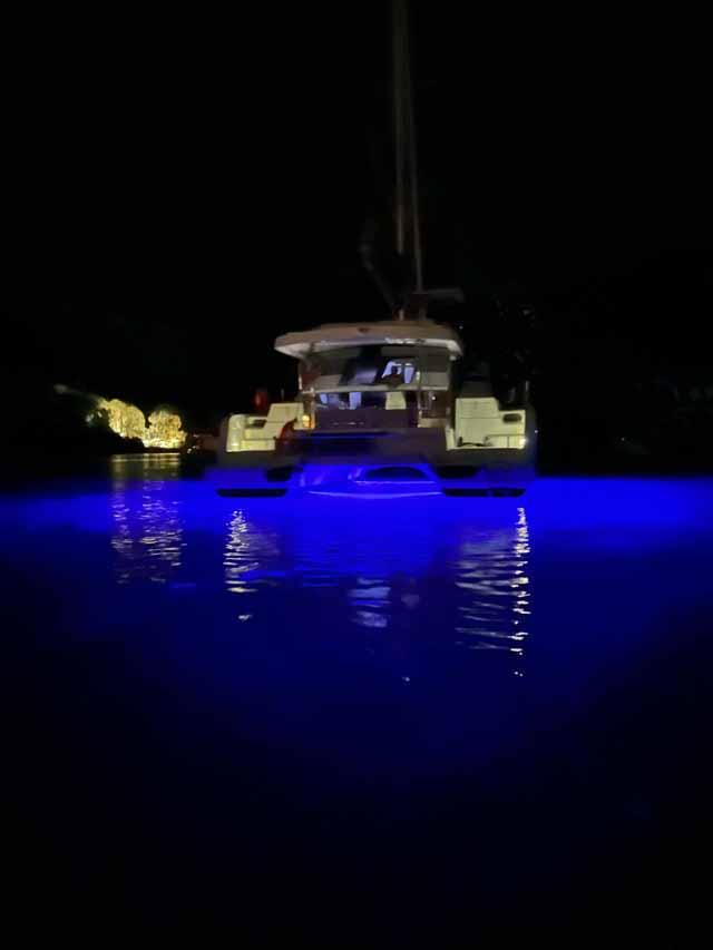 Bali Catspace, picture 5