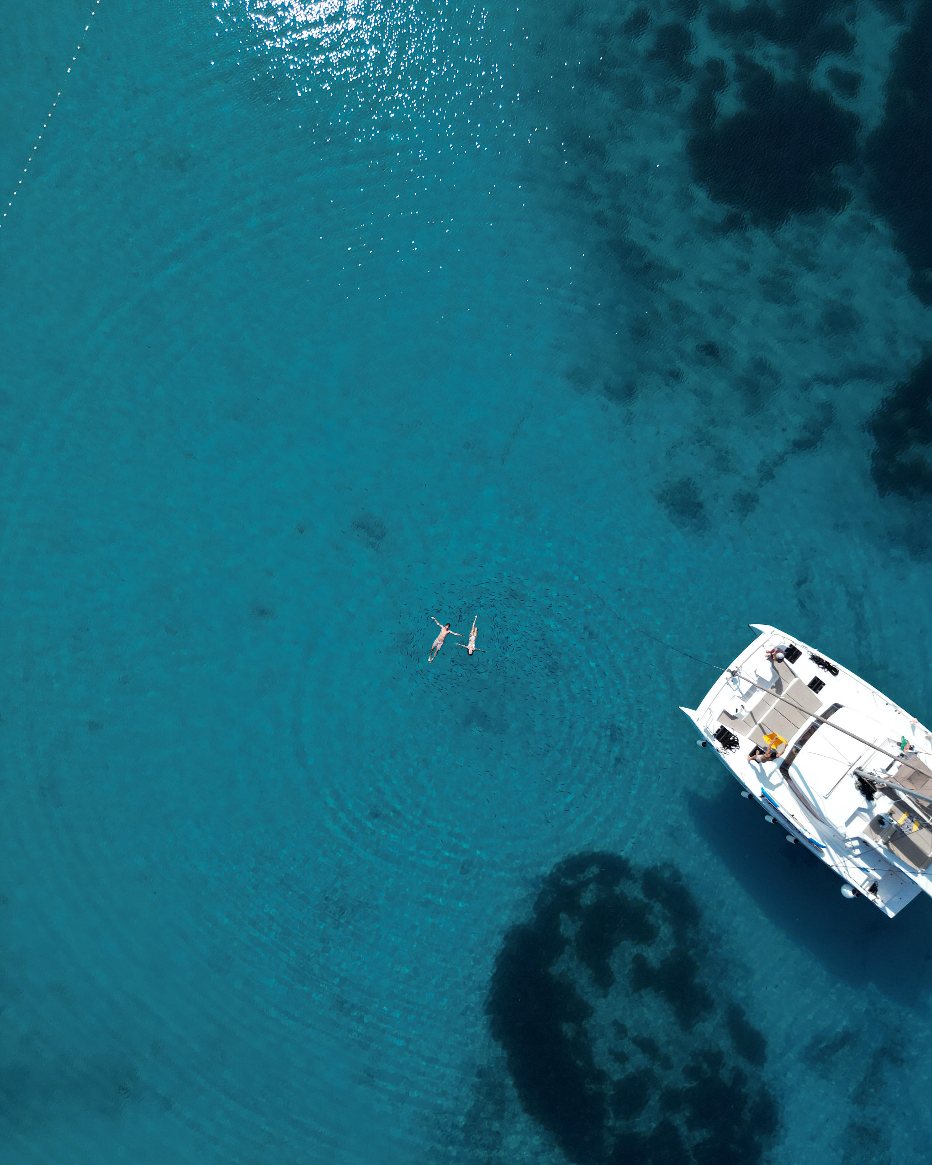 Bali Catspace, picture 5