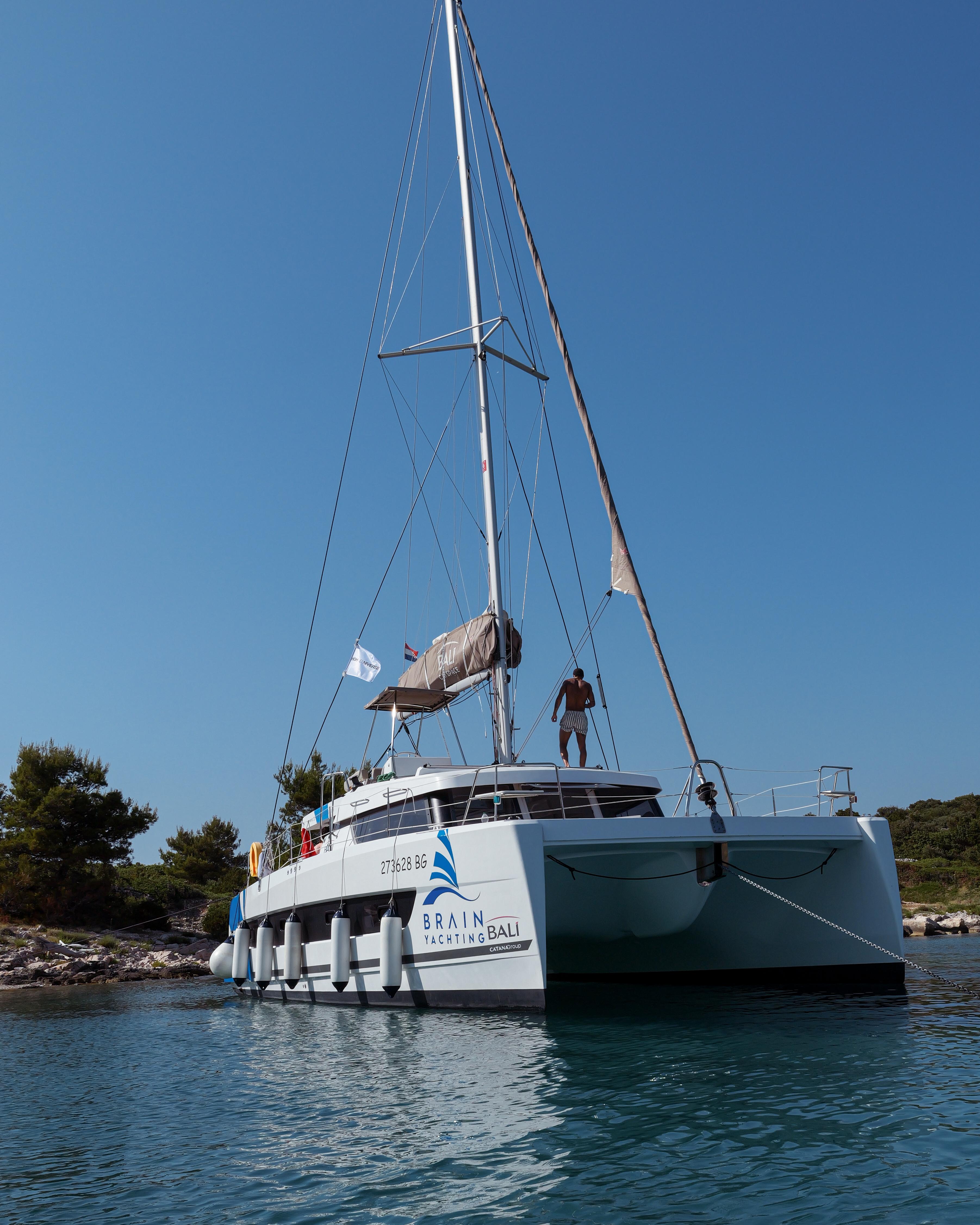 Bali Catspace, picture 7