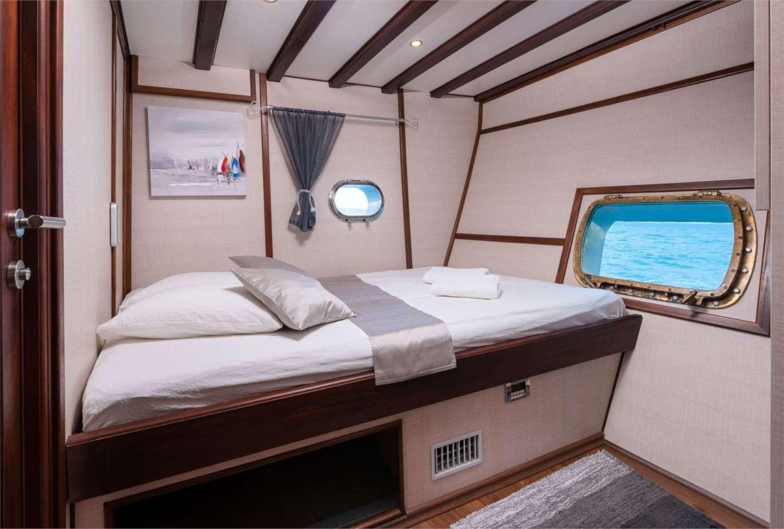 Nautilus, picture 19