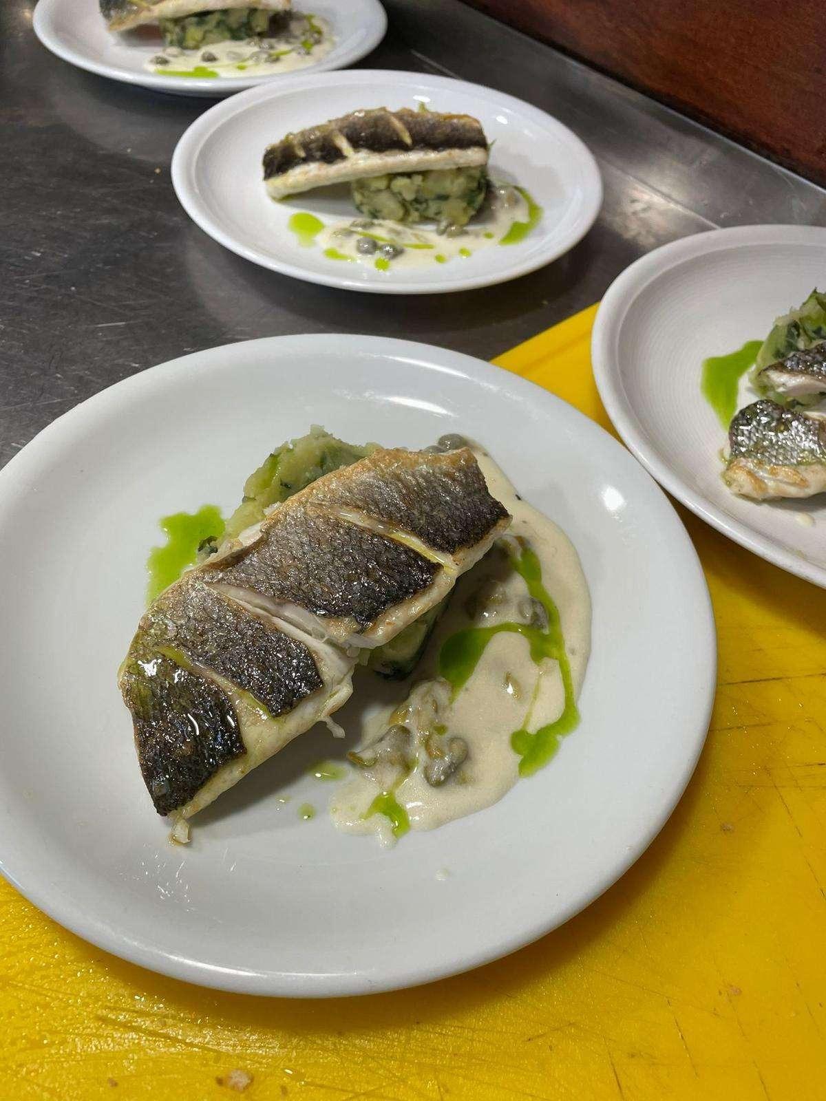 Nautilus, picture 26