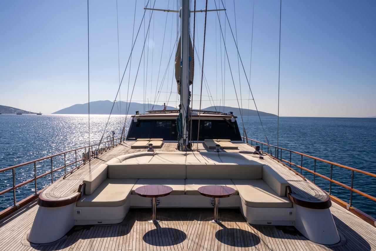 Dragon fly, picture 4