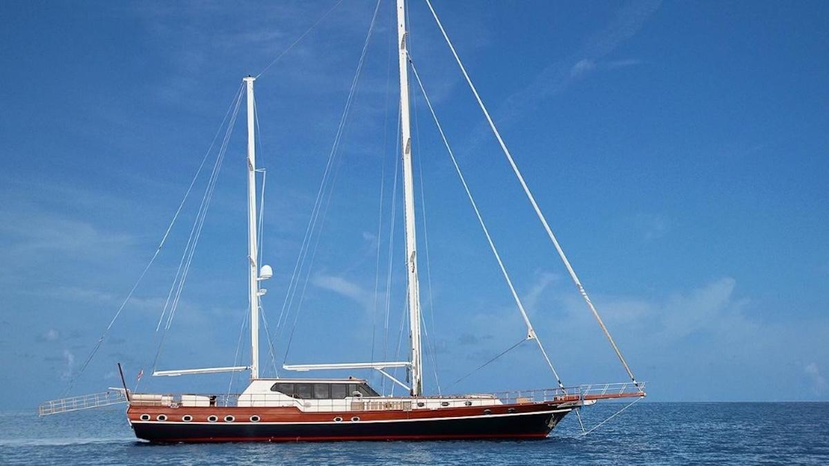 Dragon fly, picture 1