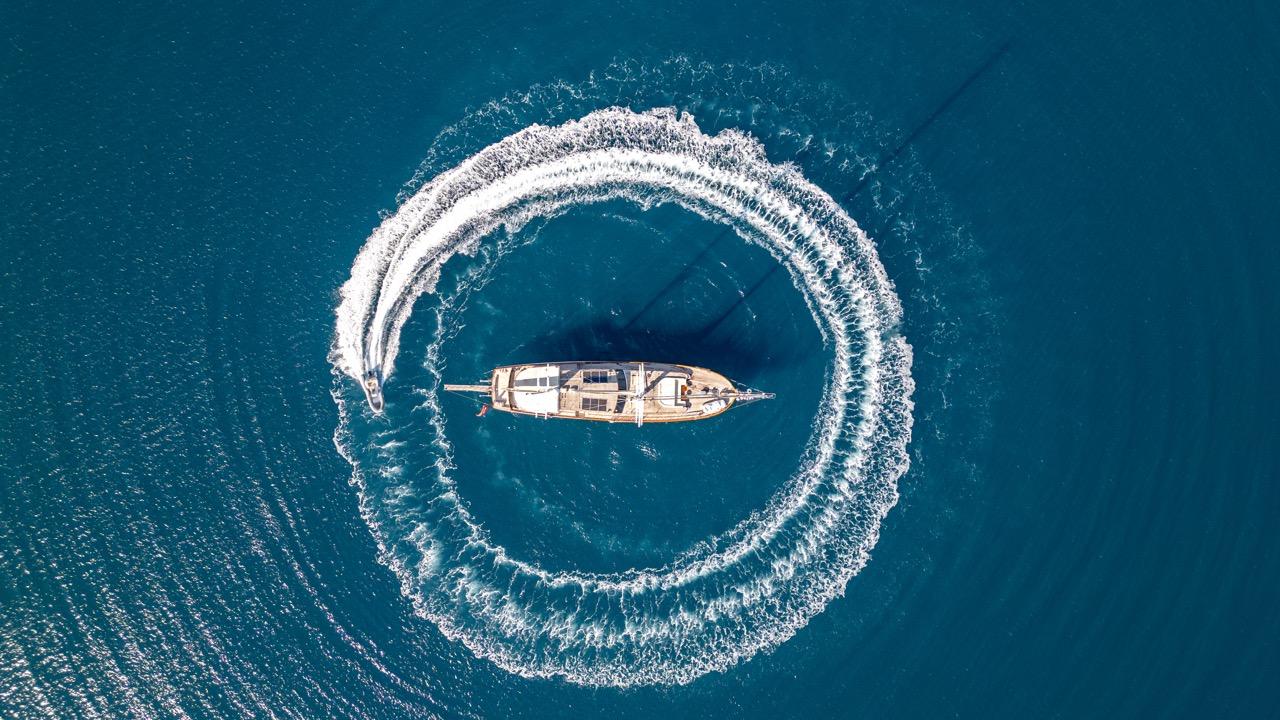 Dragon fly, picture 28