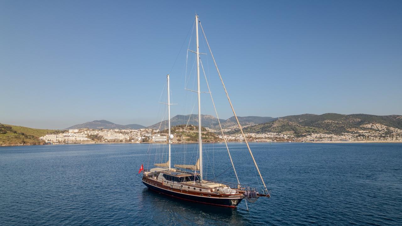 Dragon fly, picture 24