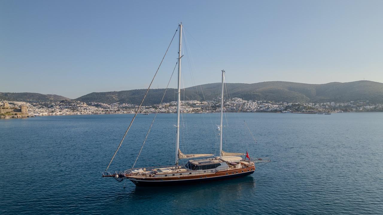 Dragon fly, picture 27