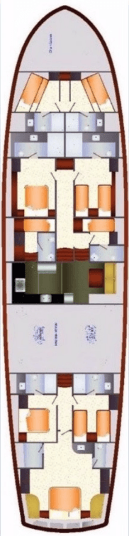 Dragon fly, picture 2