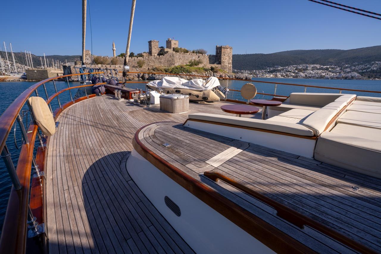 Dragon fly, picture 5