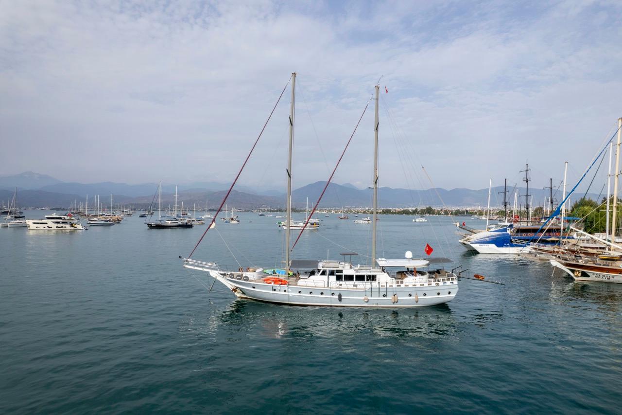 Diamond Lila, picture 1