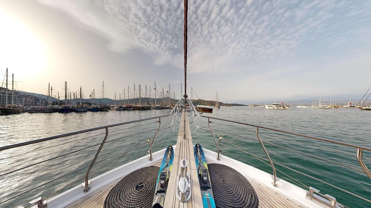 Diamond Lila, picture 7