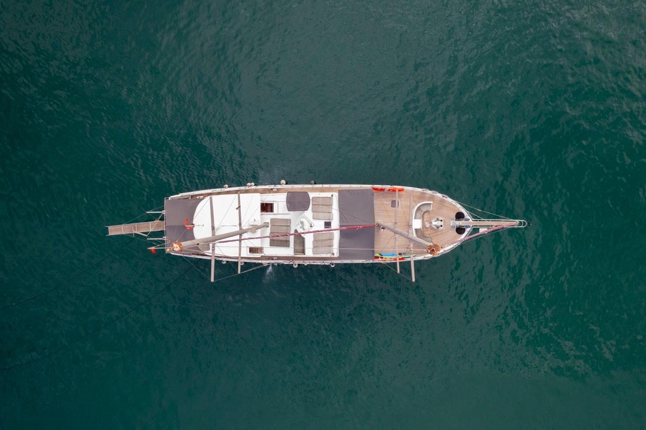 Diamond Lila, picture 8