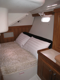 Catalina 350, picture 3