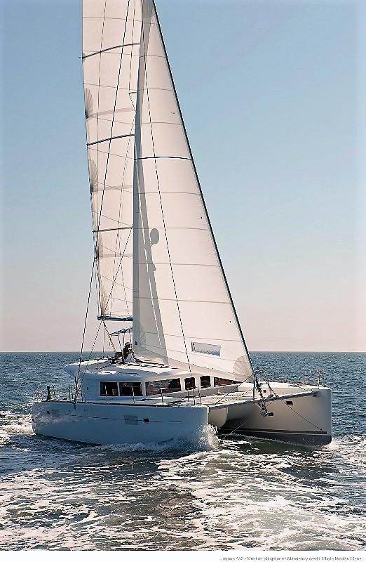 Lagoon 50, picture 3