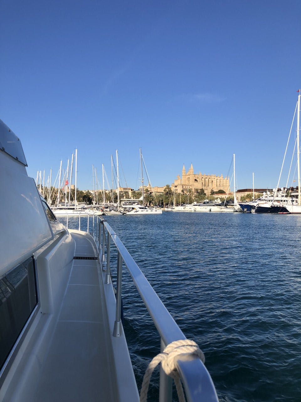 Book Ferretti Yachts 175 Fly Motor yacht for bareboat charter in Palma de Mallorca, La Lonja, Balearic Islands, Spain with TripYacht!, picture 19
